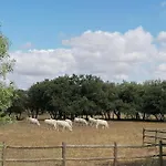 Casa Bolota